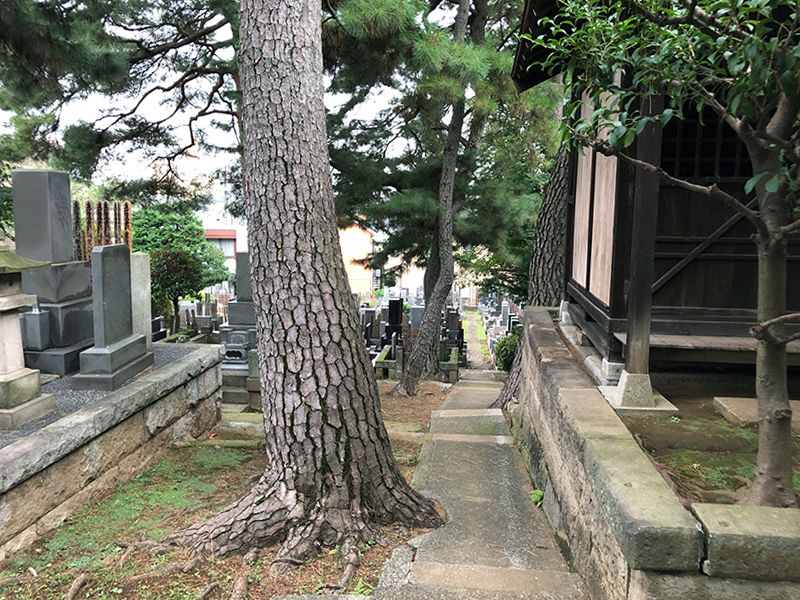 蓮華寺