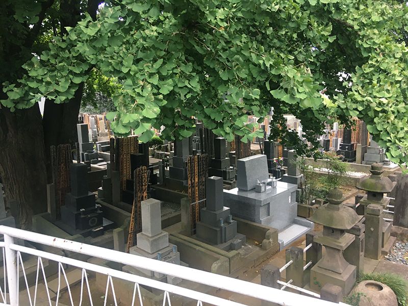 法雲山 仙寿院
