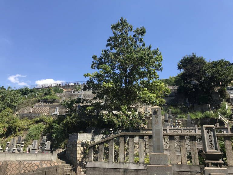 呉市営 室瀬墓地