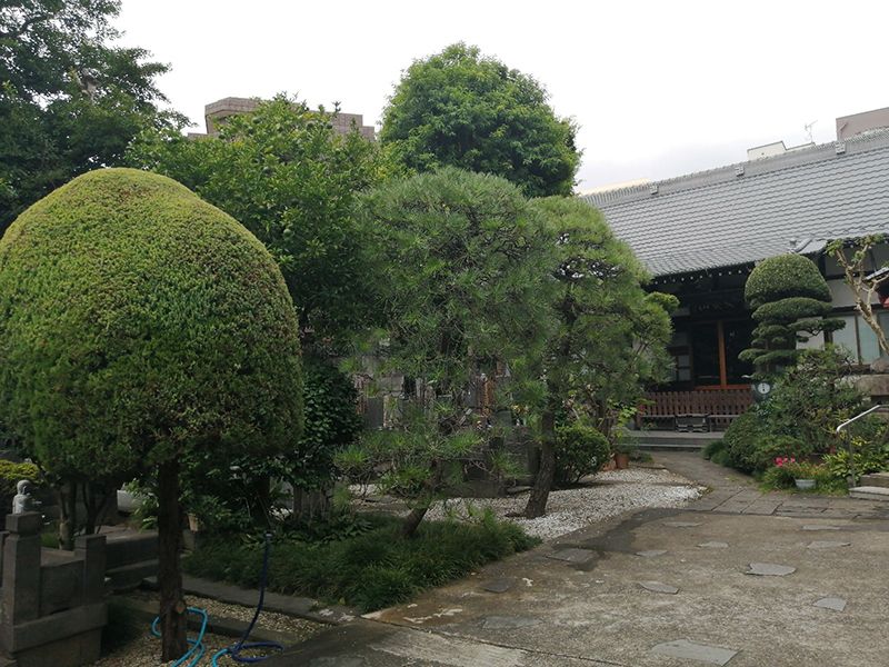 安養山 還国寺