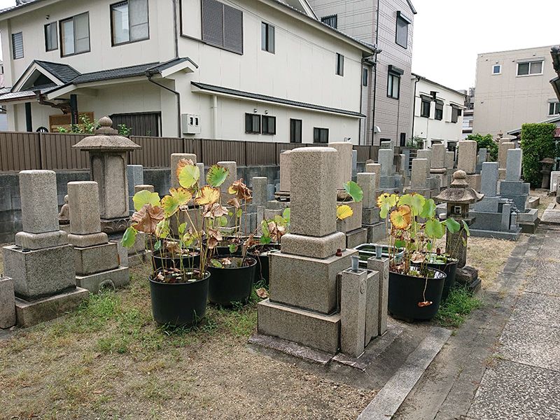 法藏院墓地