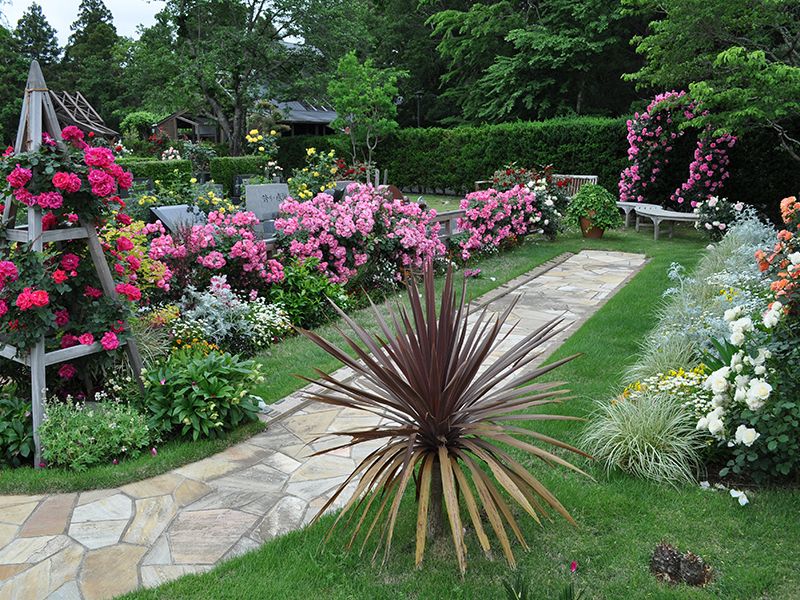 佐倉ふれあいパーク　バラの樹木葬「ダイアナ」