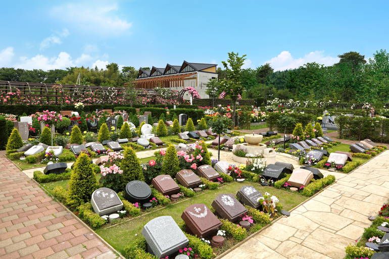 秋津ふれあいパークの全景