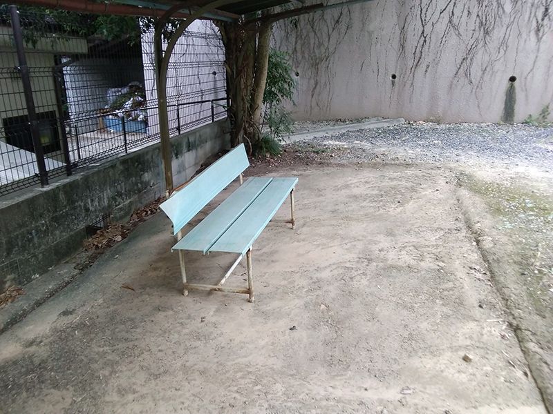 慈願寺境内墓地