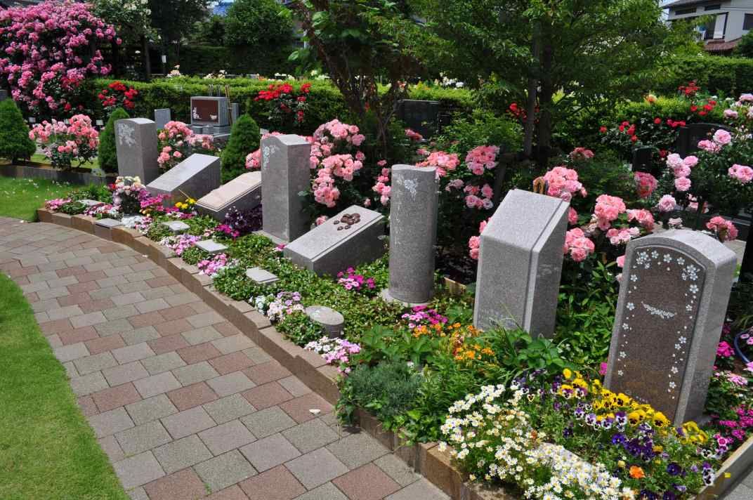 練馬ねむの木ガーデン　ばらやその他草花が咲き乱れる美しい園内