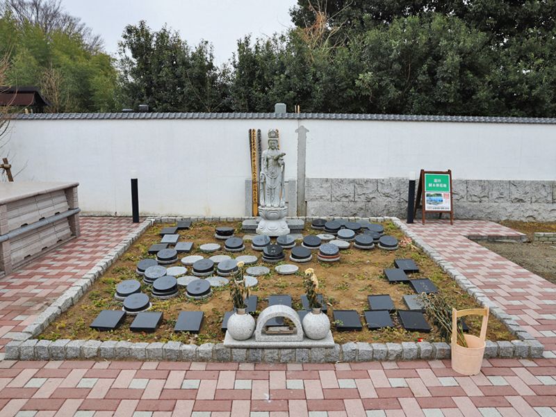 四季桜の里 春区画