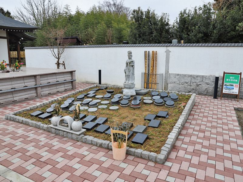 四季桜の里 春区画