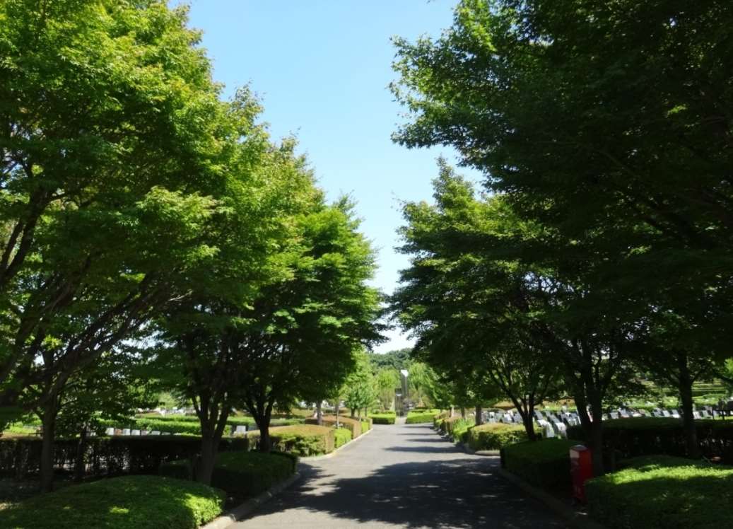 新座市営墓園の園内通路②