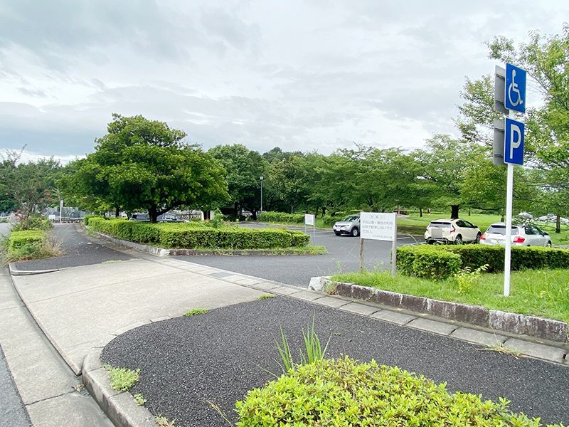 平和公園 松徳院墓地