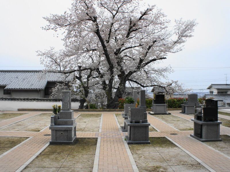 吉祥寺境内墓地 桜墓苑