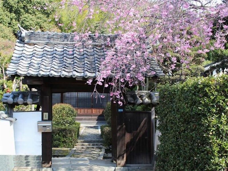 吉祥寺境内墓地 桜墓苑