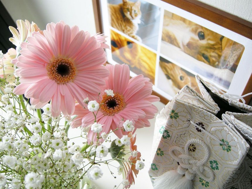 ペットの遺影と花