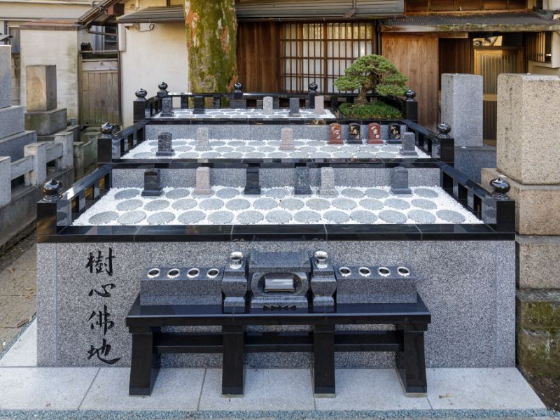 正德寺 欅の杜 樹木葬 樹心～じゅしん～