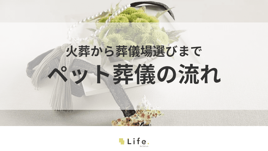 ペット葬儀の流れを解説！愛する家族との後悔しない別れ