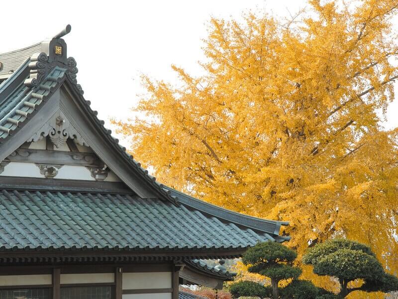 蓮華廟 紅葉が美しい植栽