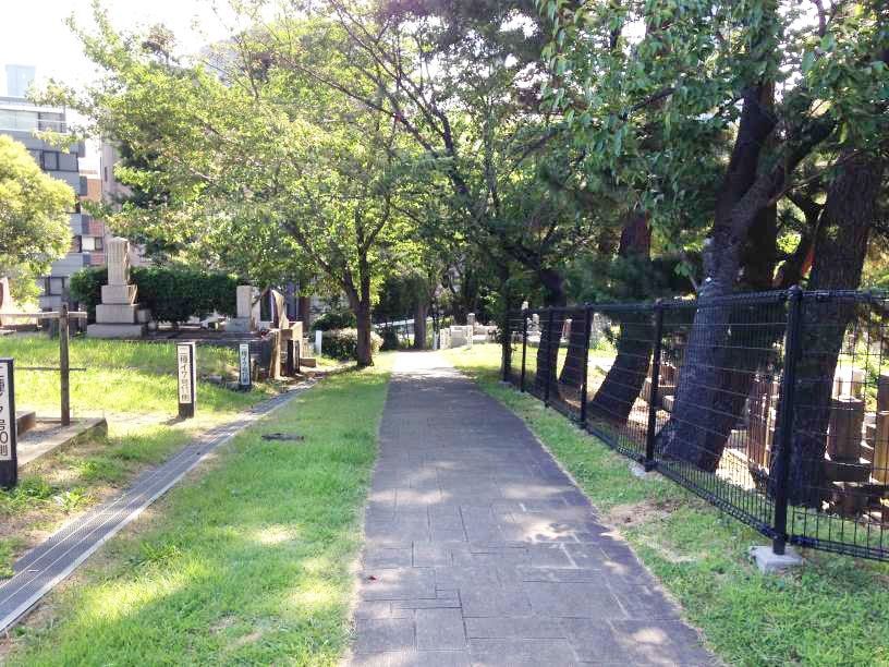 青山霊園8