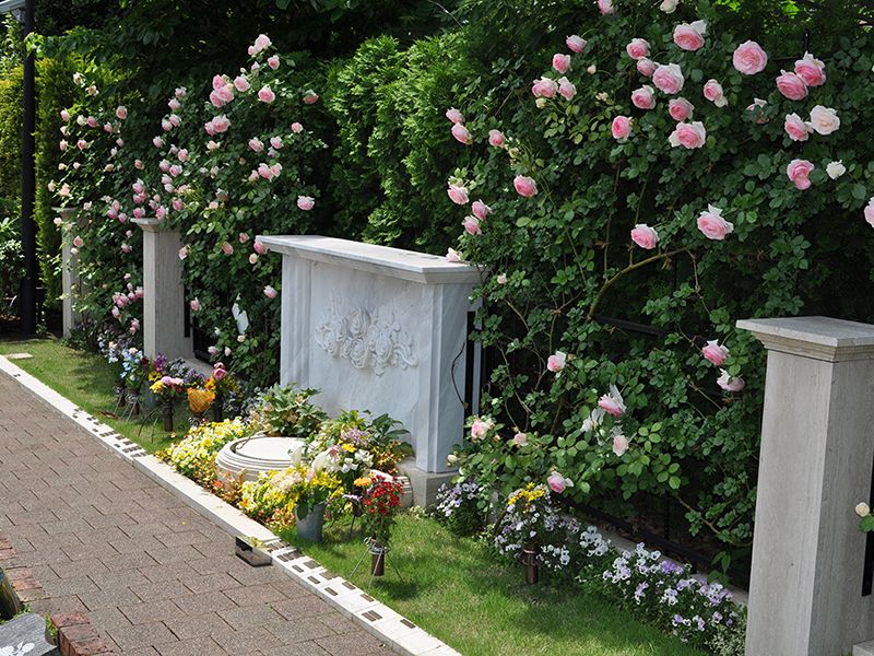 秋津ふれあいパーク 樹木葬 ダイアナ 13年後合祀タイプ 33年後合祀タイプ