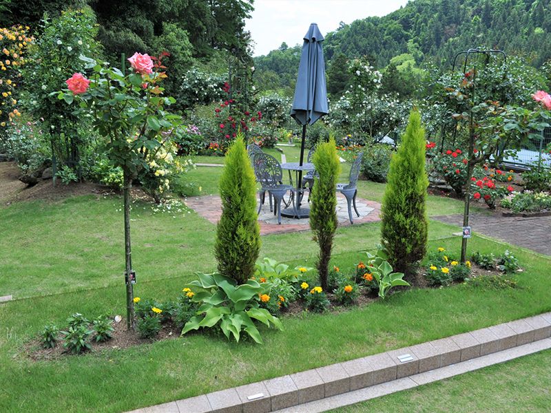 西東京墓苑 樹木葬 おもいでの樹