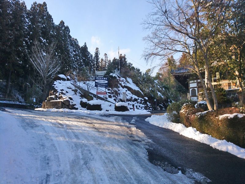 樹木葬霊園 マイメモリーいずみ