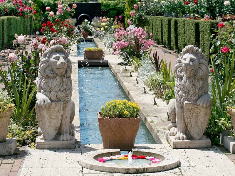 府中ふれあいパーク　噴水と鮮やかなバラ