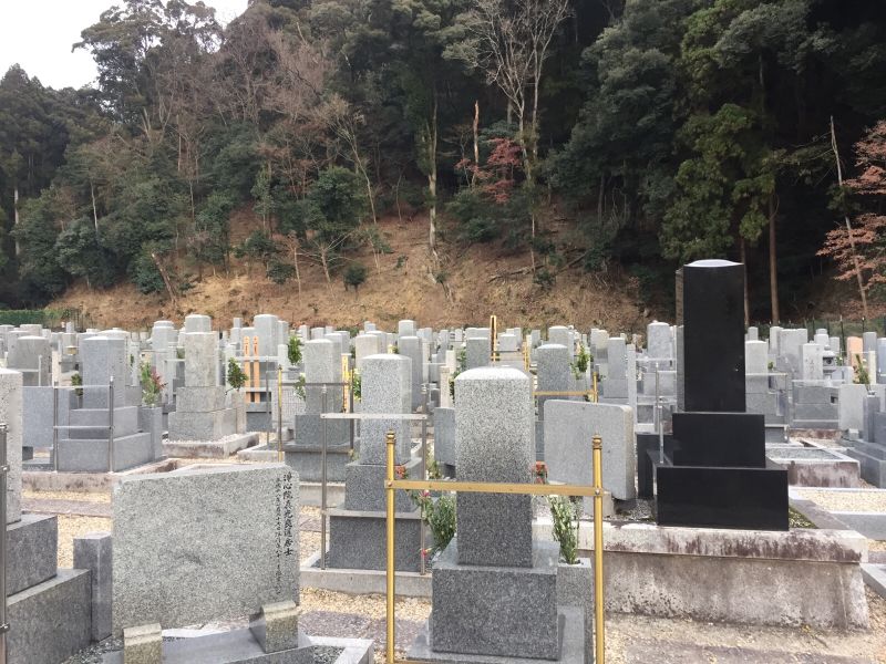 興聖寺