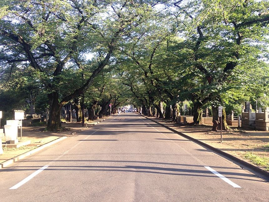 谷中霊園5