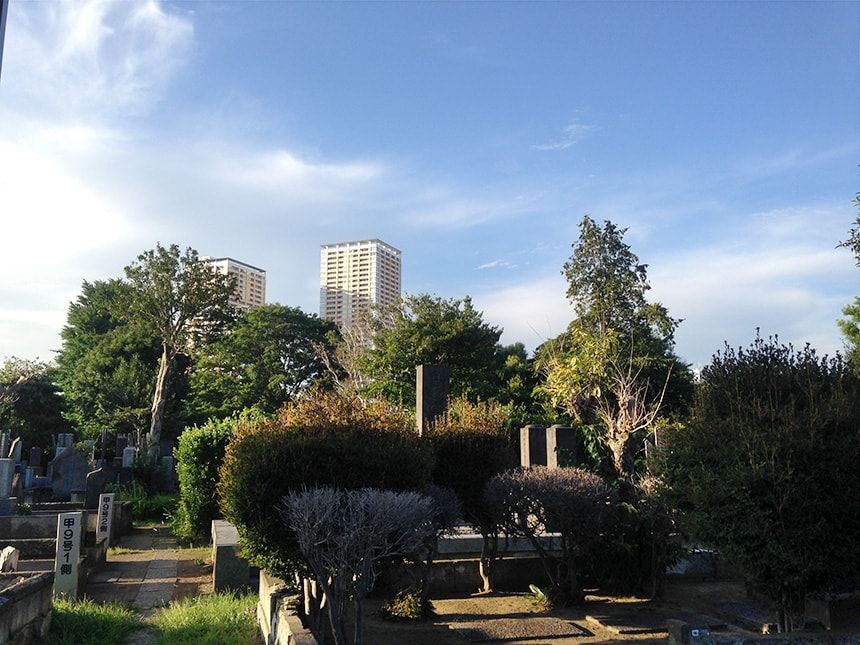 谷中霊園7