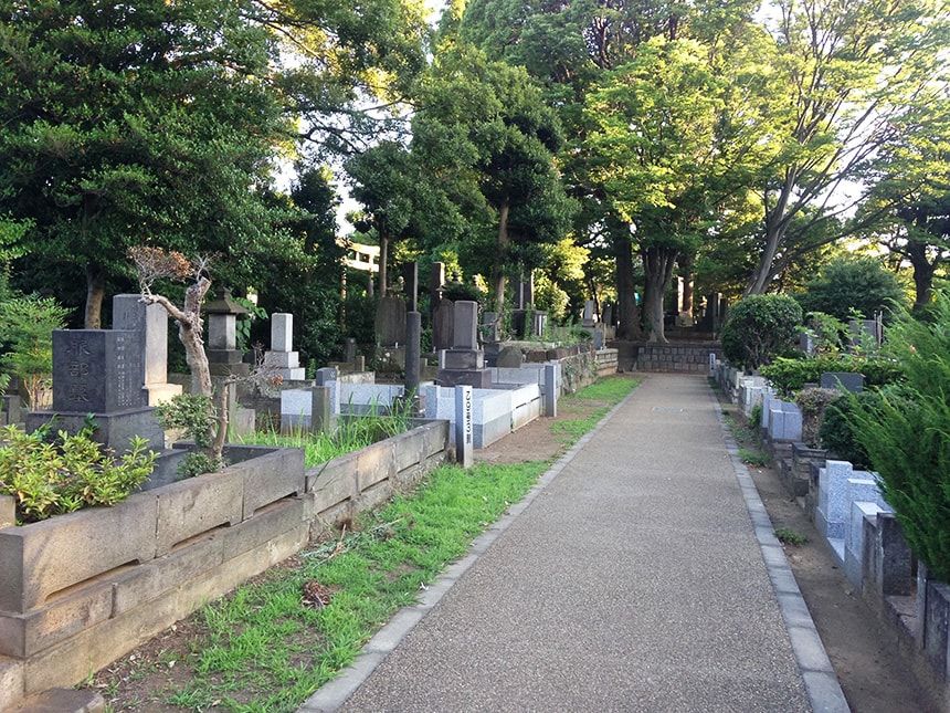 谷中霊園8