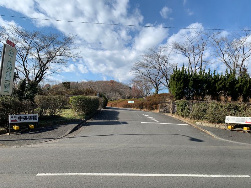 中央霊園