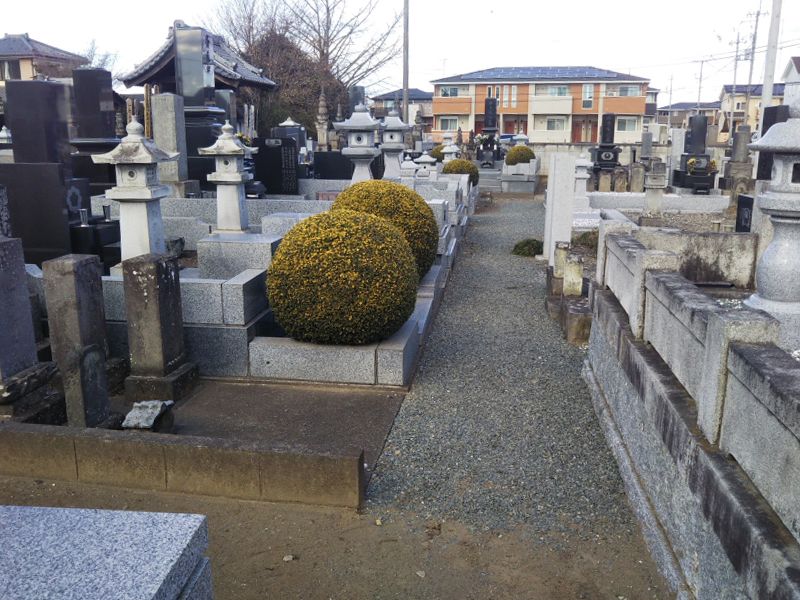 妙高寺
