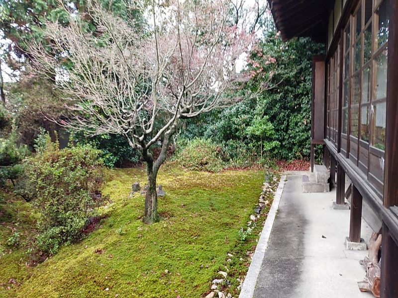 東光寺