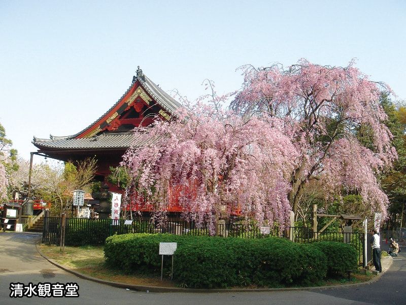 天台宗東叡山 寛永寺墓地