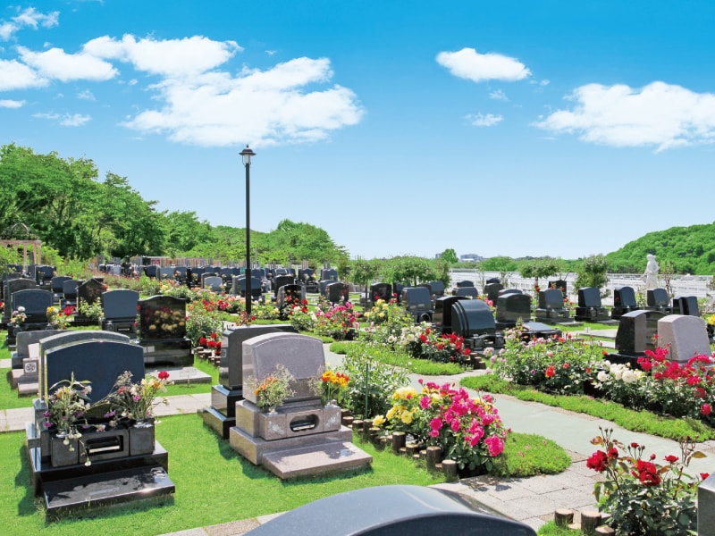 メモリアルパーク花の郷墓苑 厚木宮の里　約250本のバラが咲き乱れる墓域