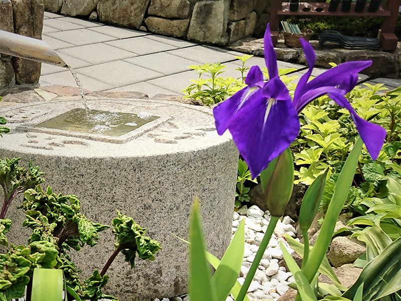 東山霊園 庭園墓 花樂苑