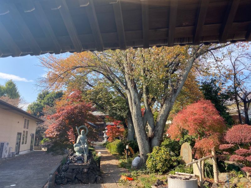 法雲寺 永代供養墓