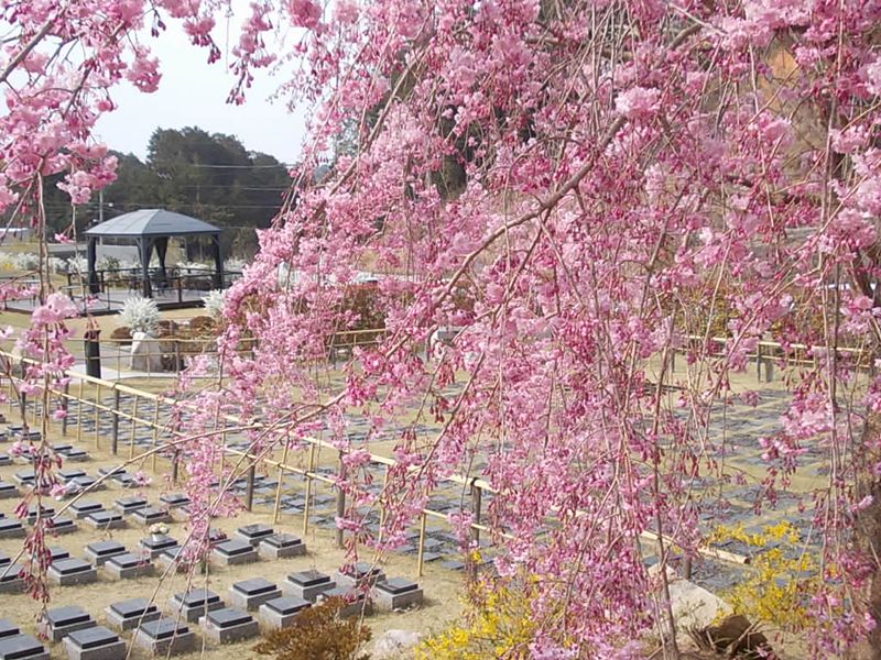 京都天が瀬メモリアル公園