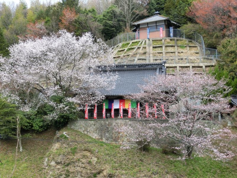 金剛院 永代供養墓「阿字のふる里」