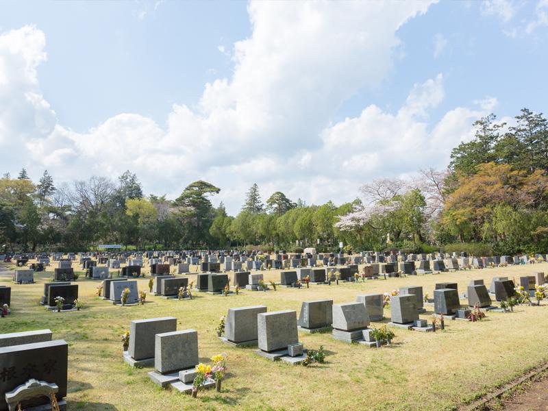 都立 多磨霊園 一般墓 芝生埋蔵施設