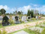 大宮霊園 一般墓 芝生墓所