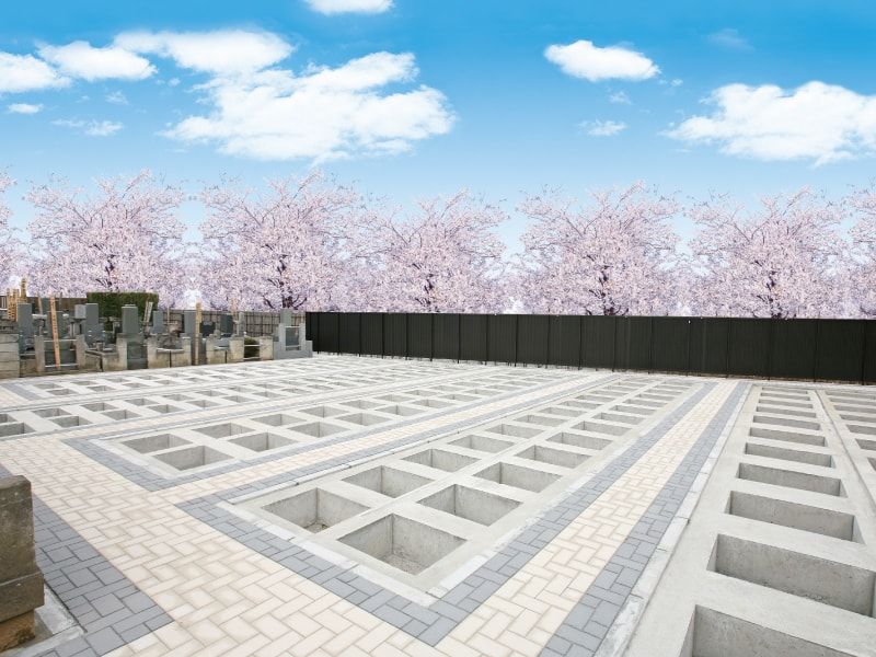 千手院の墓地に桜が咲いている