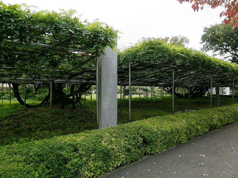 青葉園