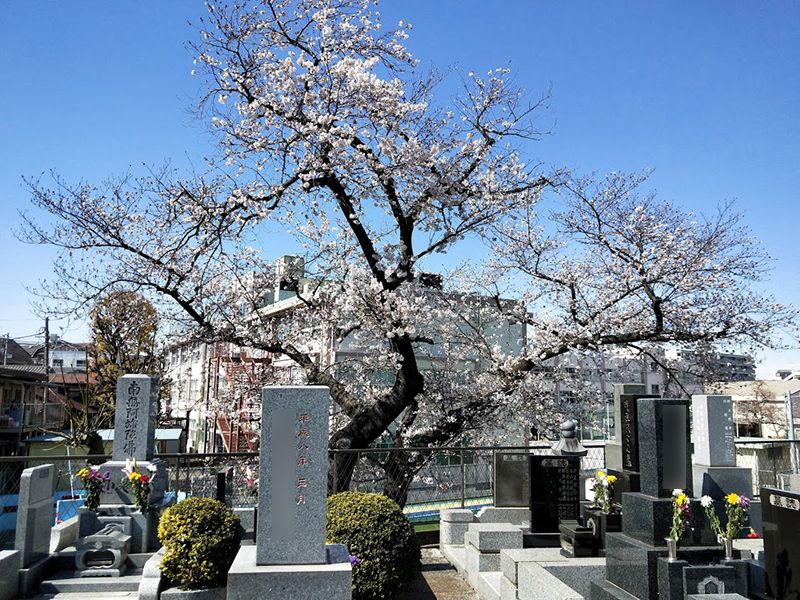 髙徳寺 のうこつぼ