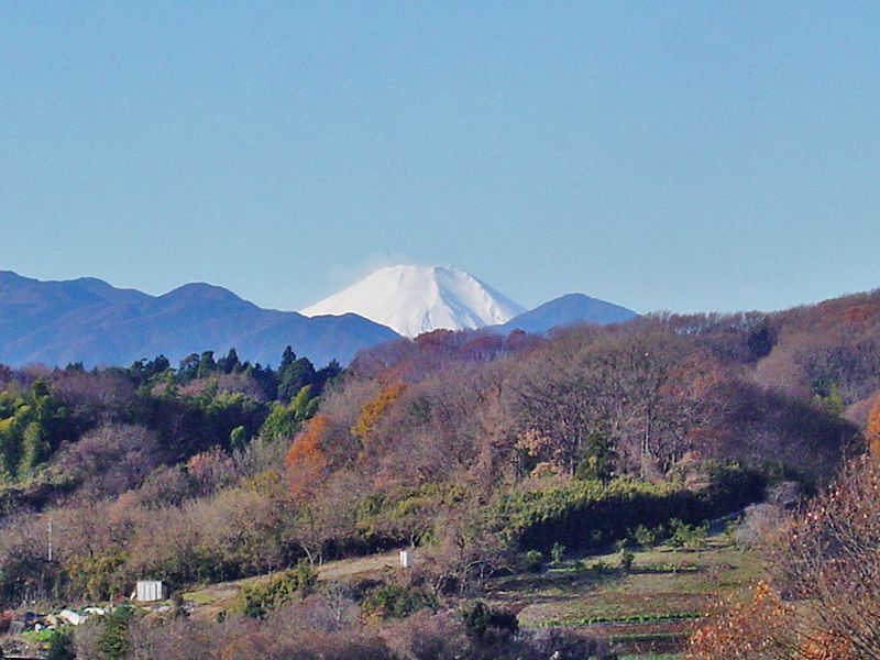 ゆぎ霊苑