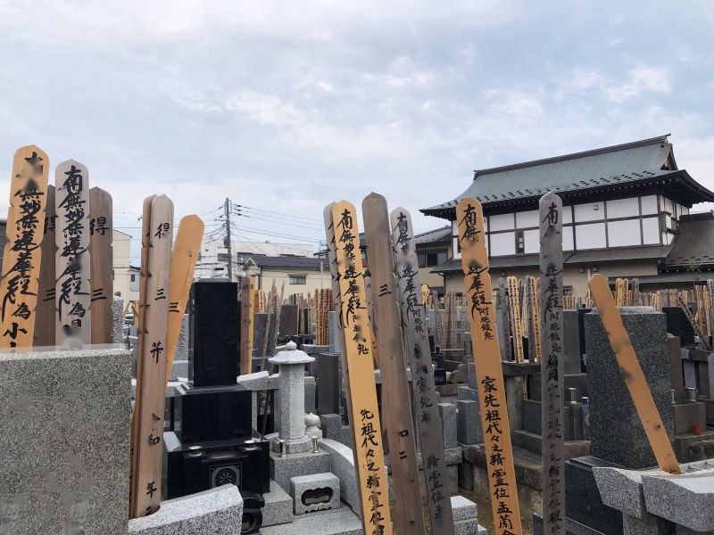 常光山 妙蓮寺