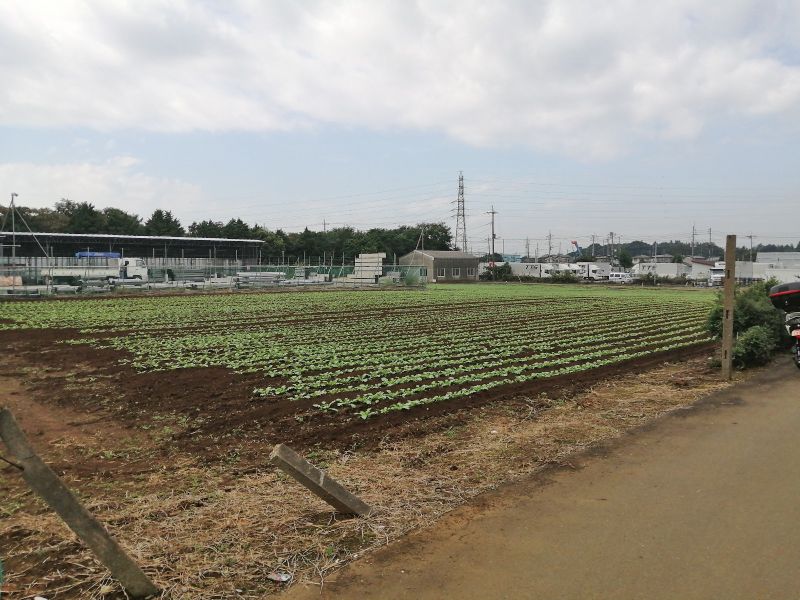 宇那谷町共同墓地