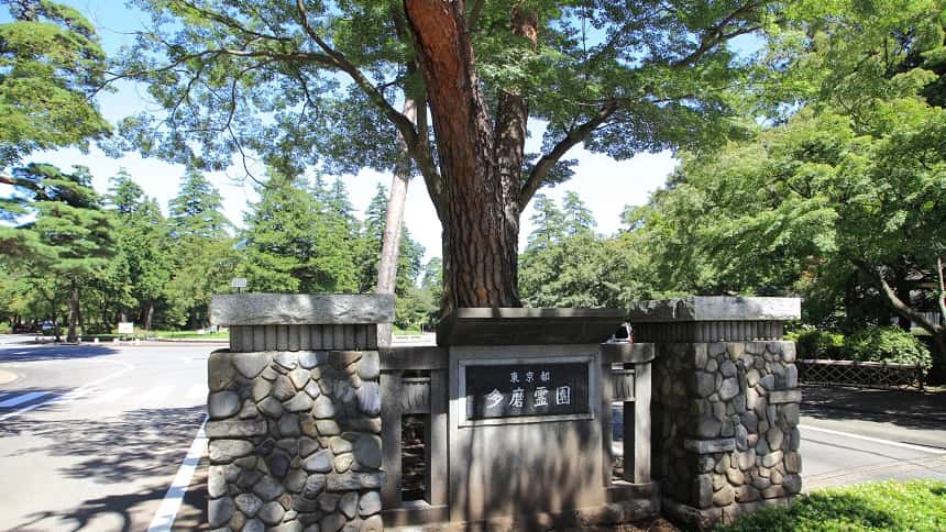 多摩霊園の木