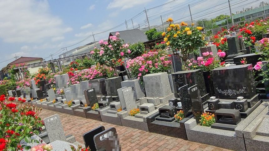 府中ふれあいパーク1