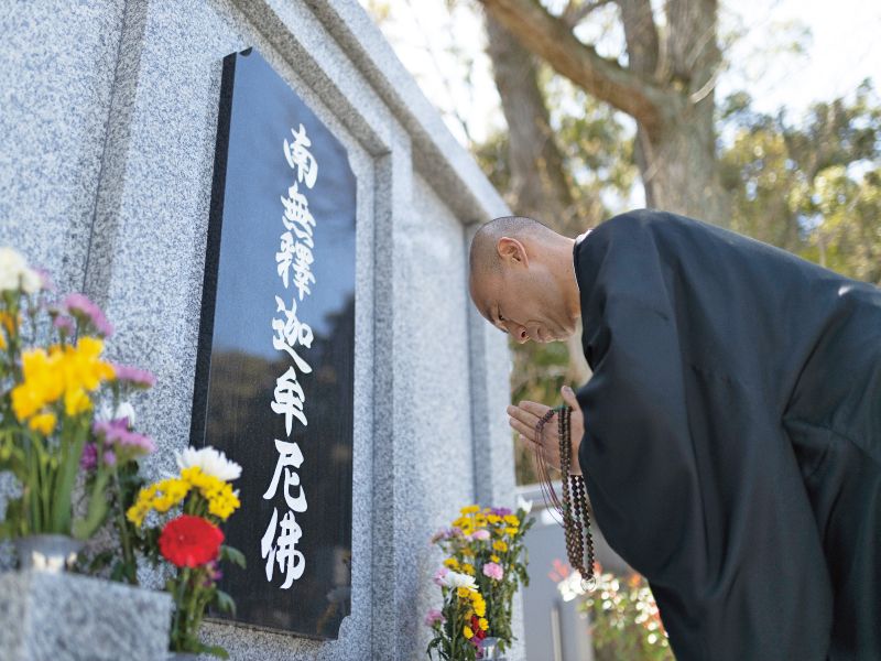 聖應寺さくら廟