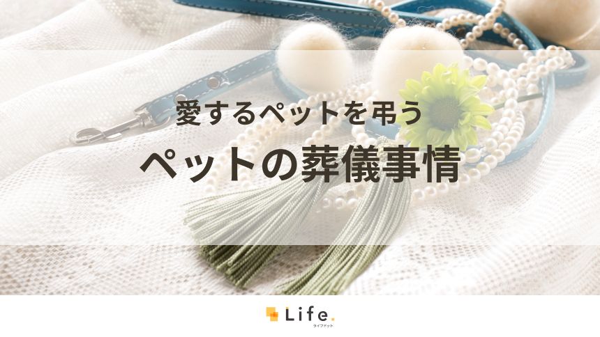 ペットの葬儀アイキャッチ画像