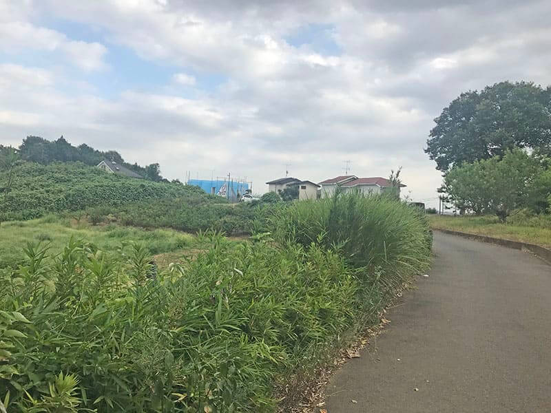 川崎清風霊園までの平坦道